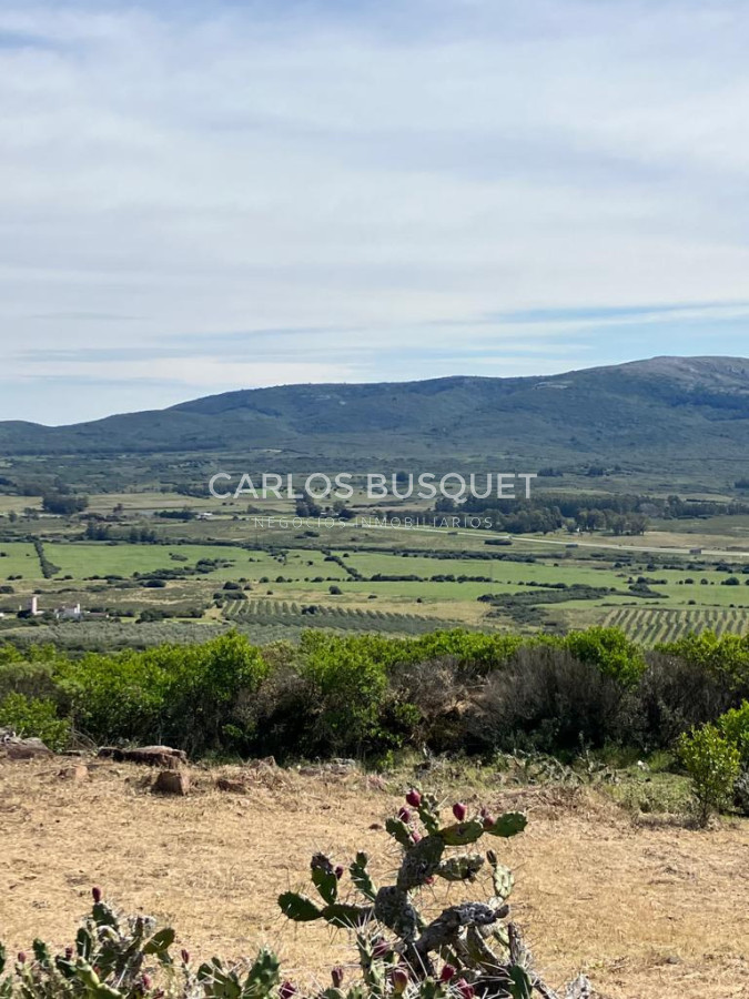 Chacra ID.1667 - Chacras del Cerro - chacras en venta de 5 has. en Pan de Azucar