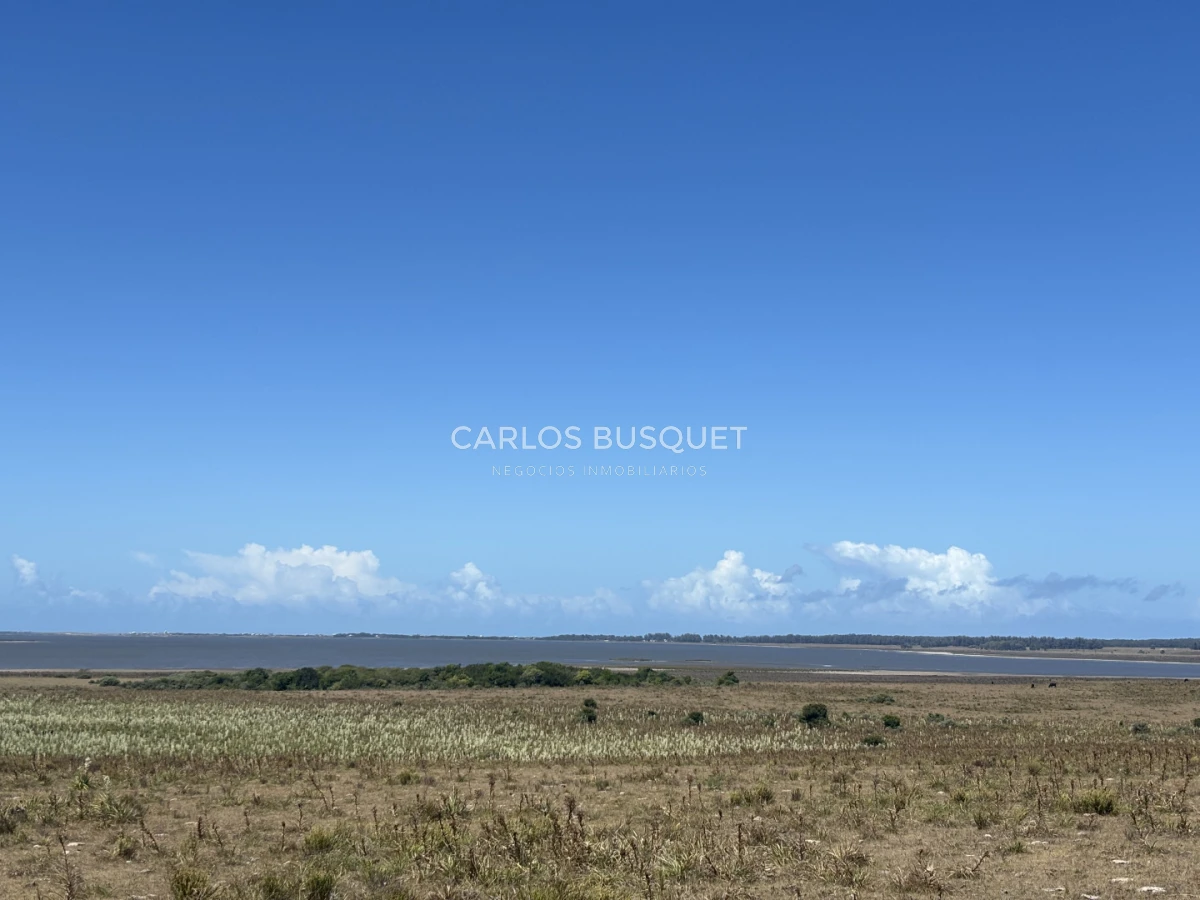 Chacra ID.1552 - Venta chacra de 30 hectáreas, en José Ignacio con costa de Laguna