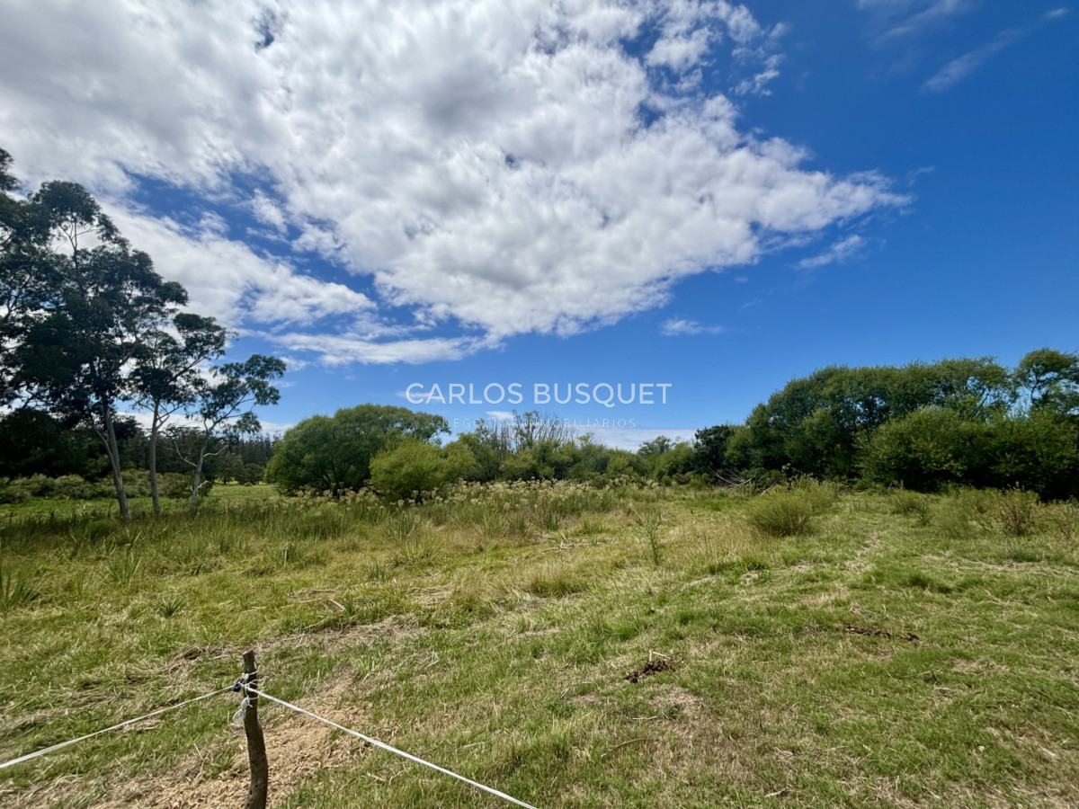 Chacra ID.1496 - Chacra de 5 has. en venta - zona Camino Medellin 