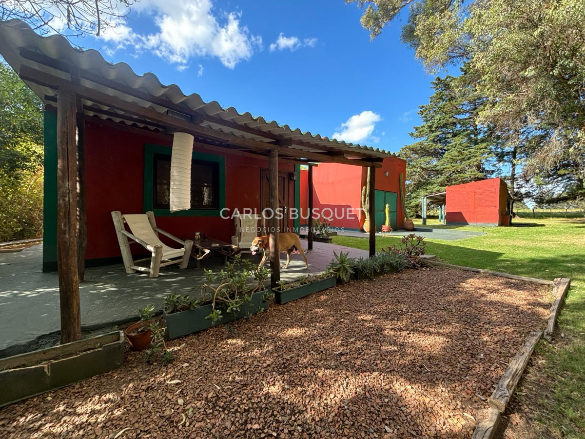 Chacra ID.496 - Chacra en venta de 5 has. en Punta Ballena, Camino Lussich 