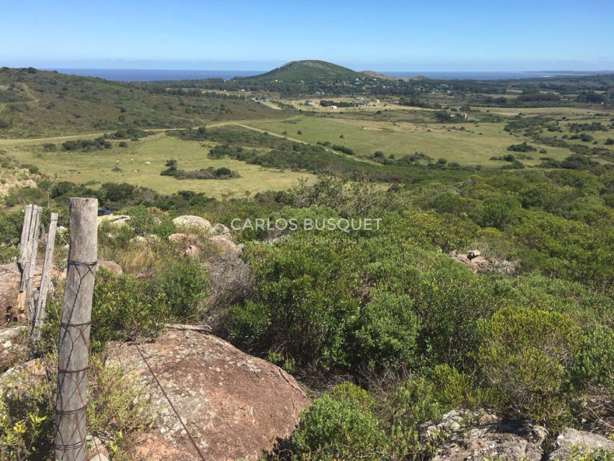 Chacra ID.1667 - Chacras del Cerro - chacras en venta de 5 has. en Pan de Azucar