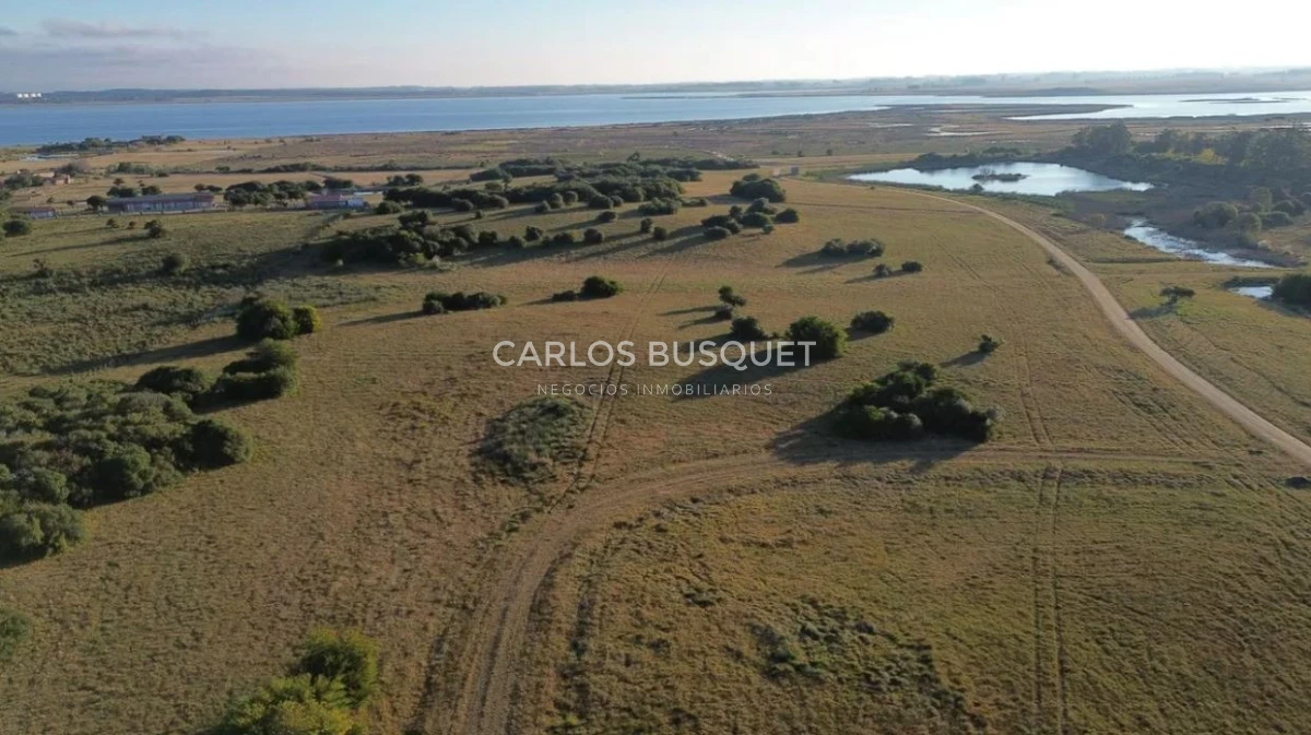 Chacra ID.1403 - Chacra en venta Jose Ignacio Las Coronillas