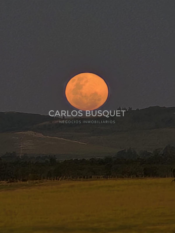 Chacra ID.1668 - Chacra de 5 has. con vista a Laguna del Sauce 