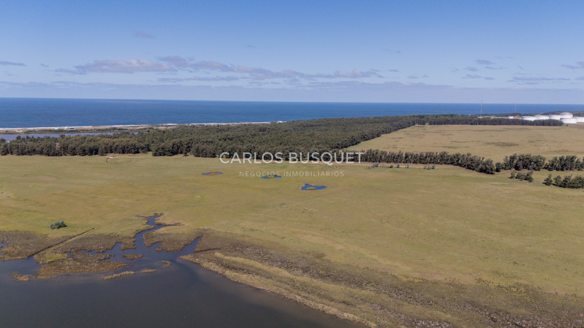 Chacra ID.16 - Chacra de 5 has. en venta en Jose Ignacio, con costa de laguna 