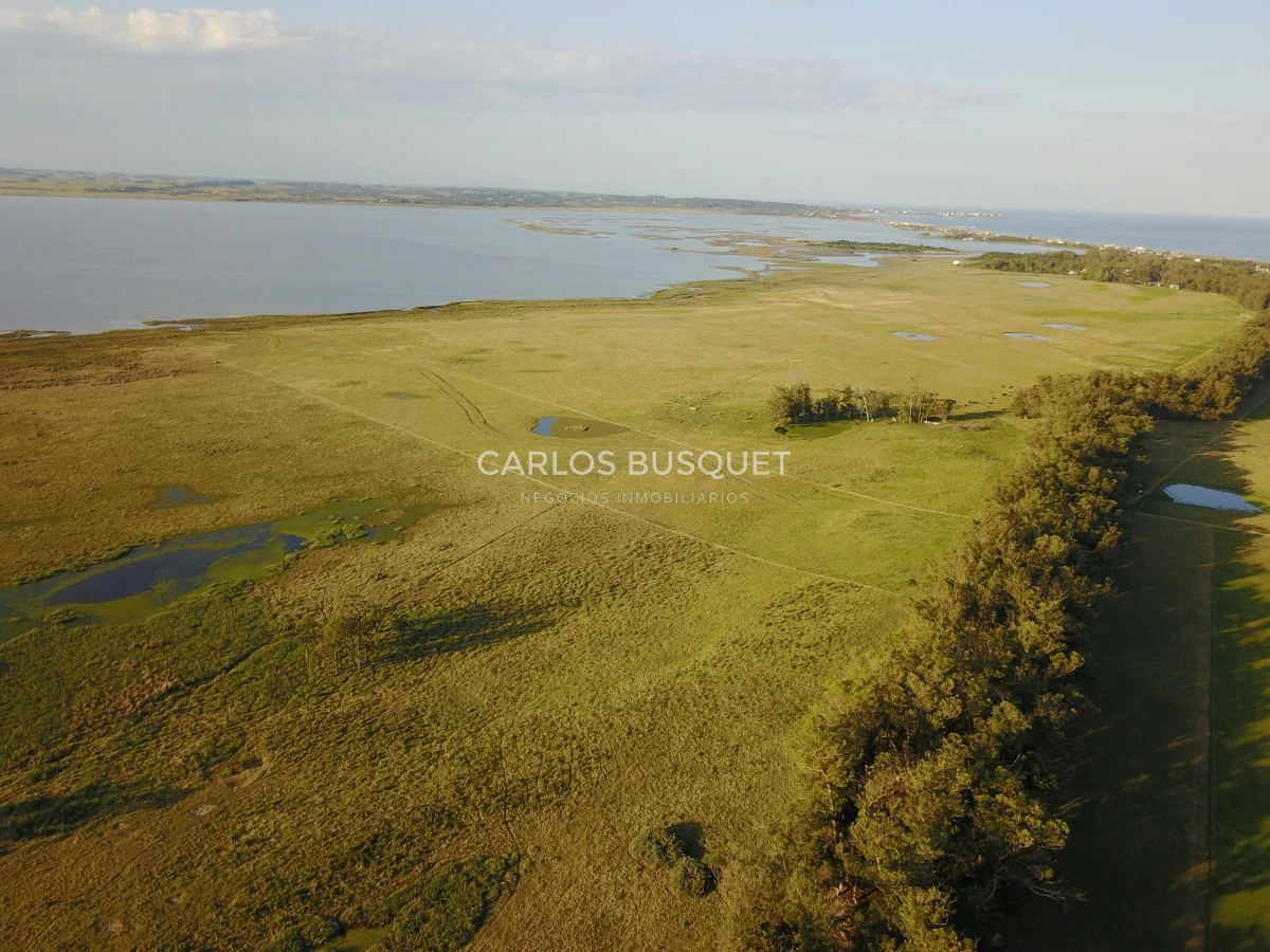Chacra ID.16 - Chacra de 5 has. en venta en Jose Ignacio, con costa de laguna 