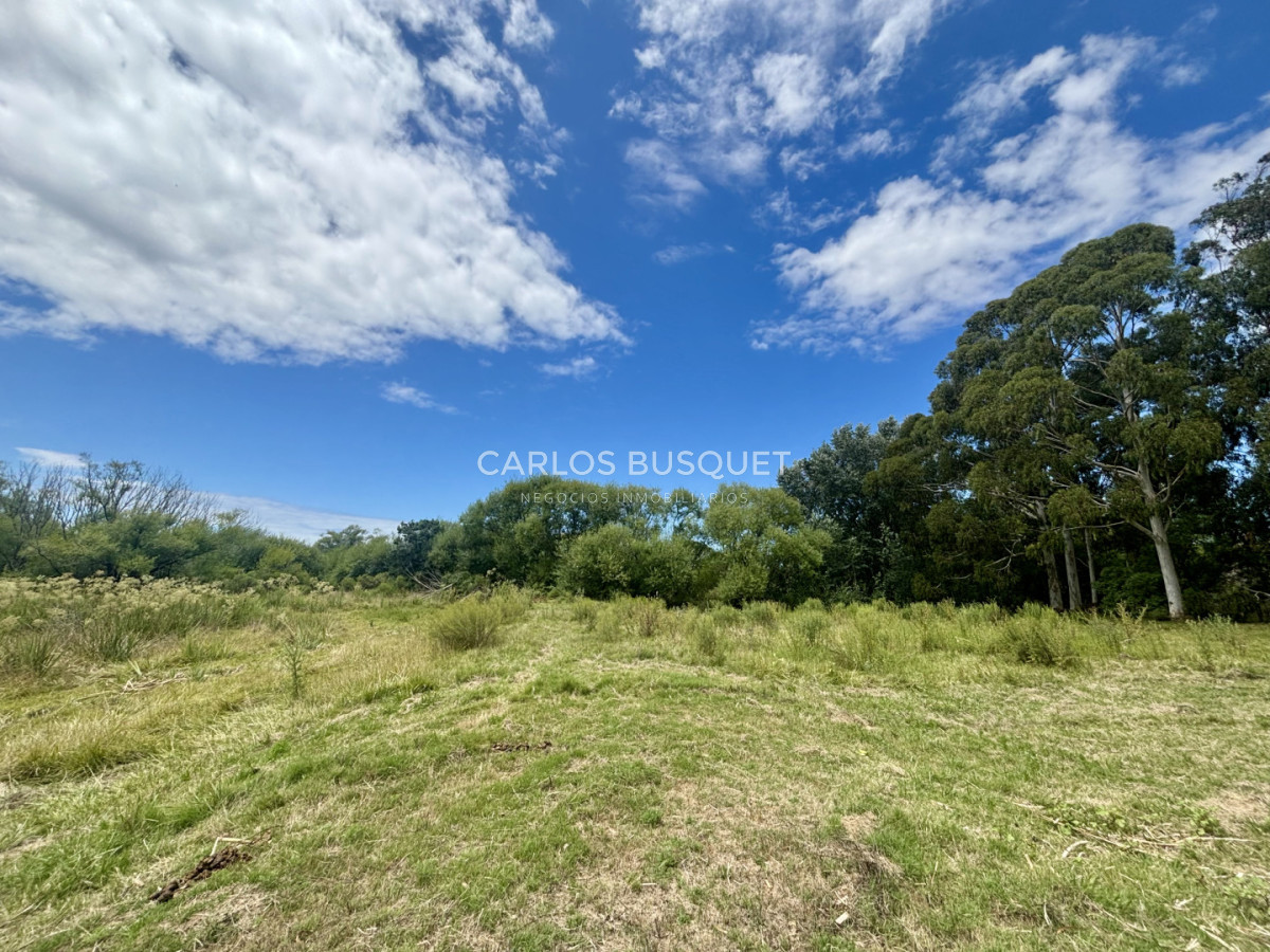 Chacra ID.1496 - Chacra de 5 has. en venta - zona Camino Medellin 