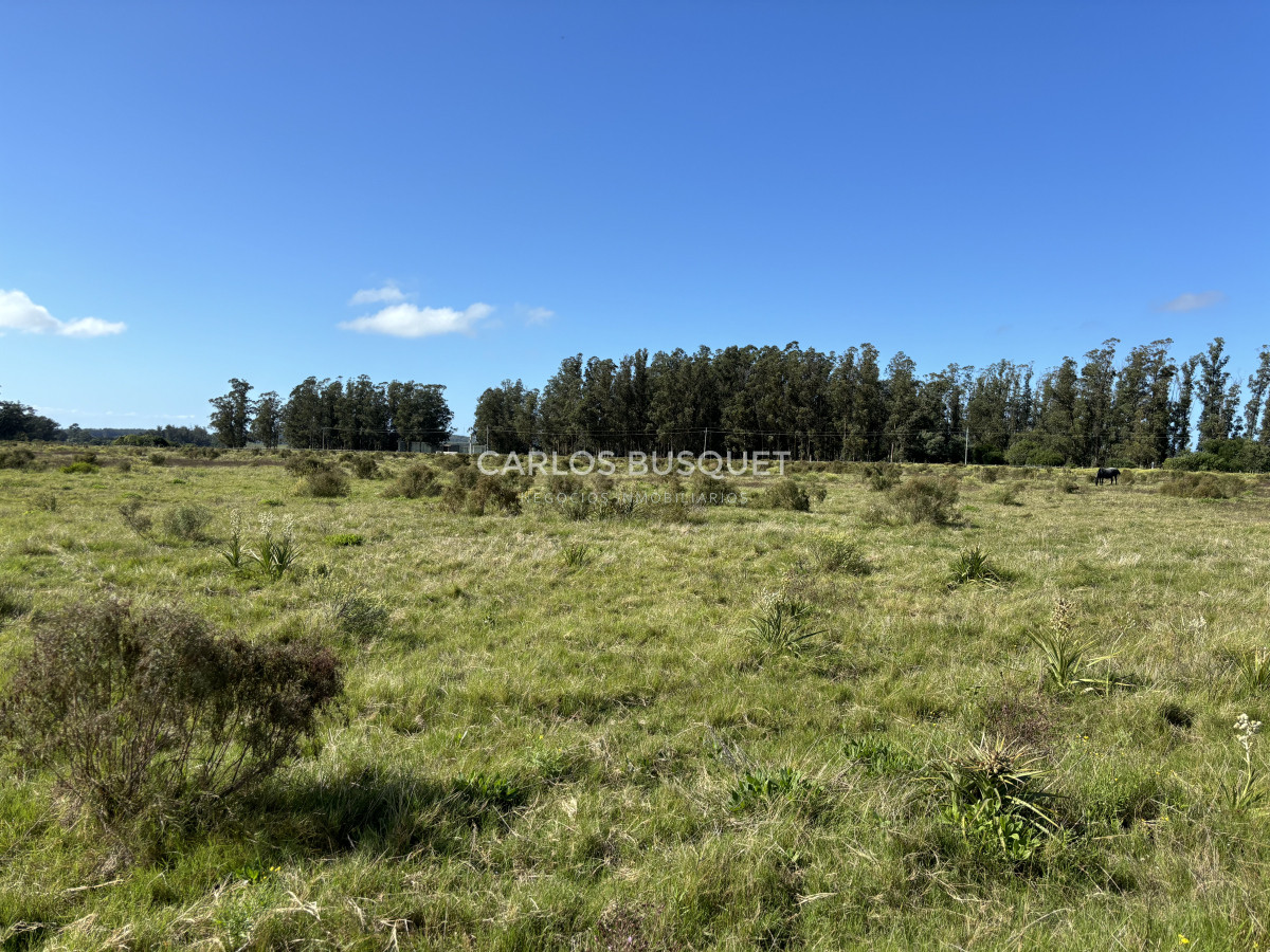 Chacra ID.1097 - Chacra de 6.6 has en Camino Medellin