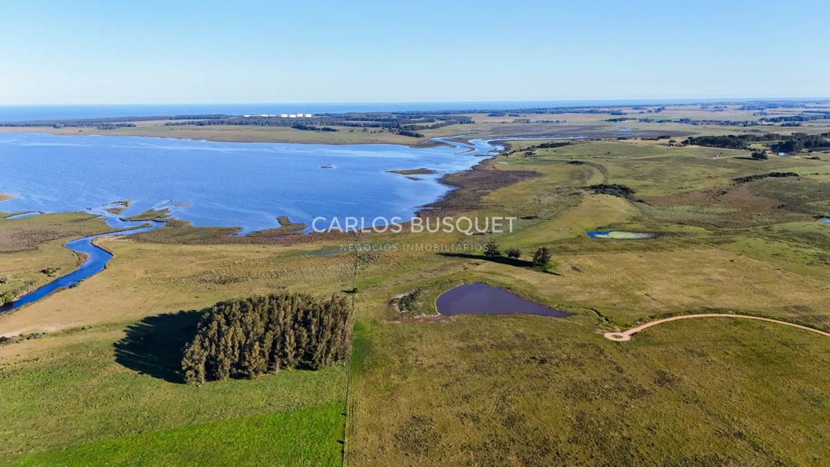 Chacra ID.1654 - Venta Chacra de 30 has. con Costa de Laguna de Jose Ignacio 