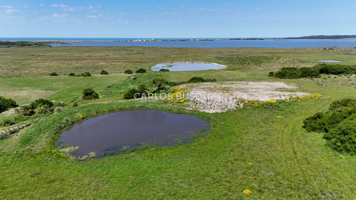 Chacra ID.531 - Chacra en venta de 5 has con costa de Laguna - Jose Ignacio 