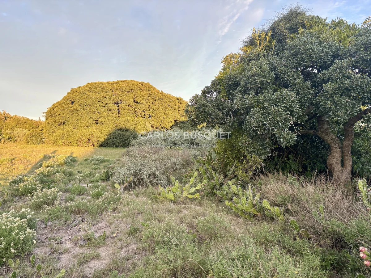 Chacra ID.1047 - Chacra de 7 has. en Venta en José Ignacio 