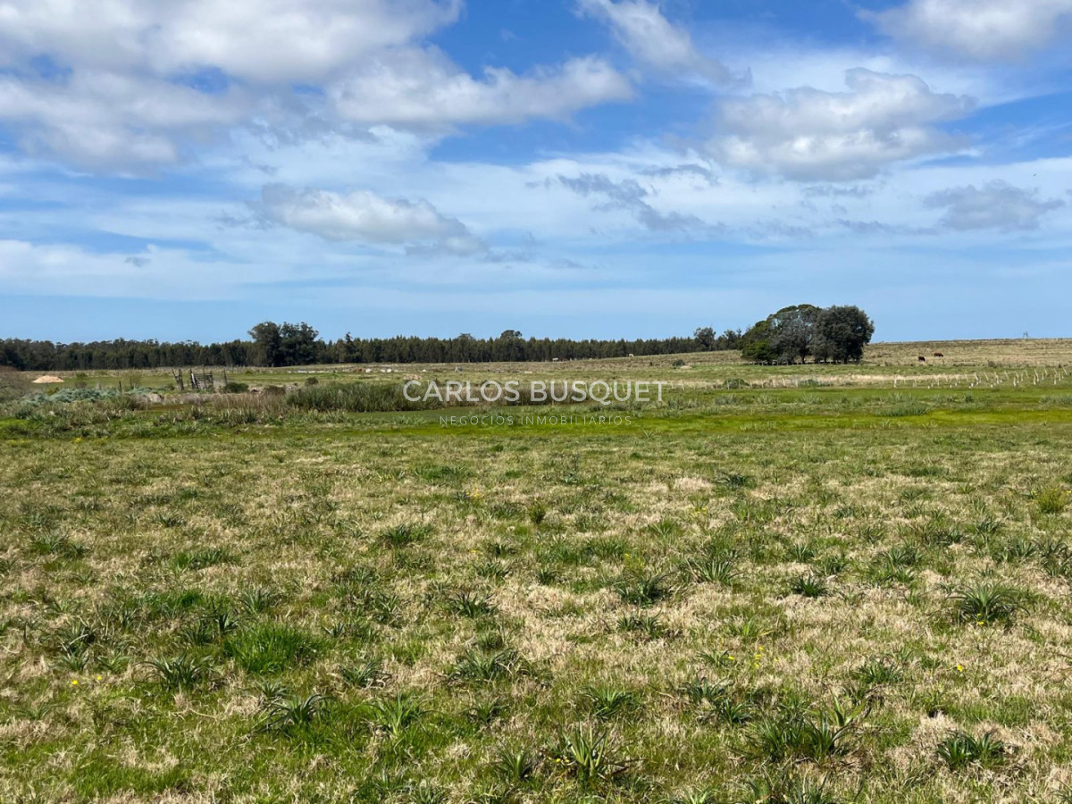 Chacra ID.1319 - Venta chacra de 5 hectáreas en Camino Medellin , parquizada. 