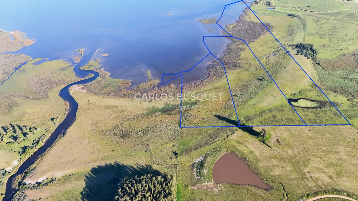 Chacra ID.1654 - Venta Chacra de 30 has. con Costa de Laguna de Jose Ignacio 