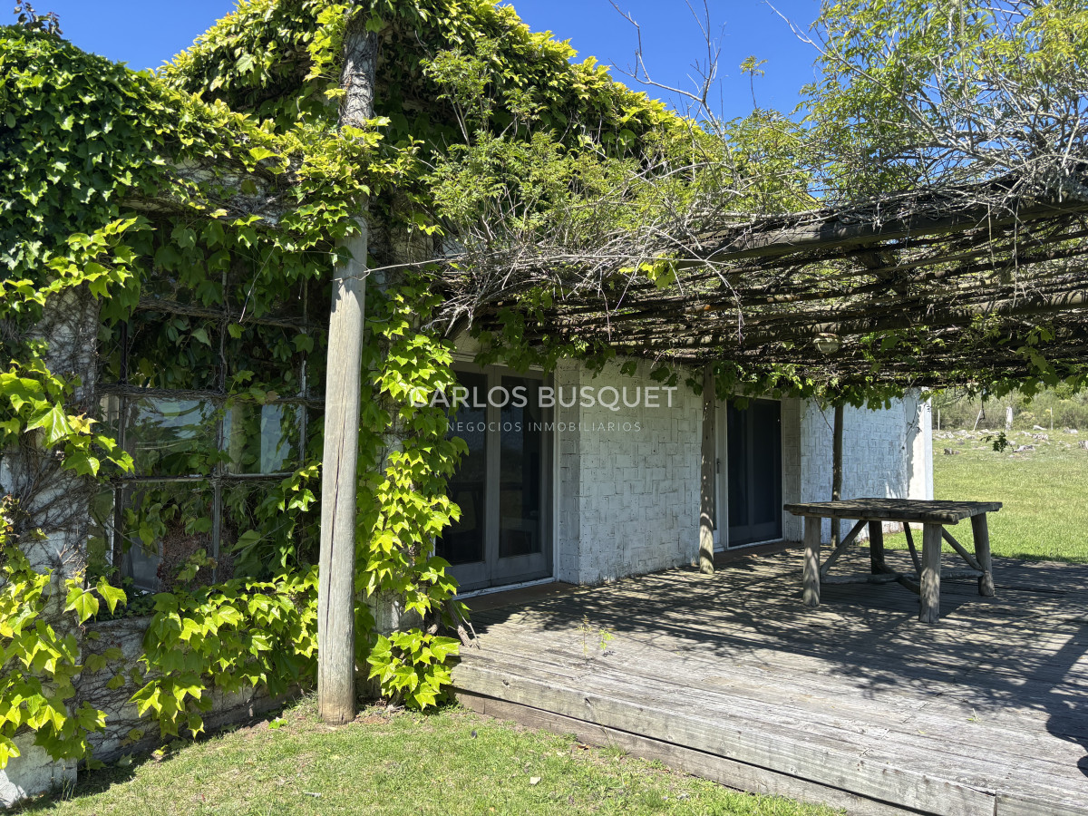 Chacra ID.1406 - Chacra en alquiler temporal de 4 dormitorios en La Barra