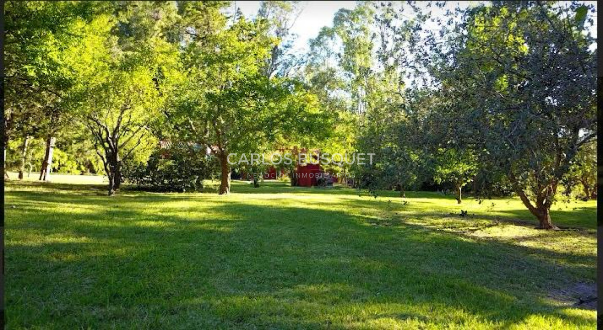 Chacra ID.496 - Chacra en venta de 5 has. en Punta Ballena, Camino Lussich 