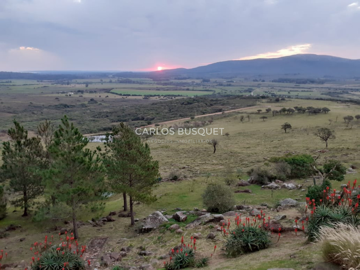 Chacra ID.1667 - Chacras del Cerro - chacras en venta de 5 has. en Pan de Azucar