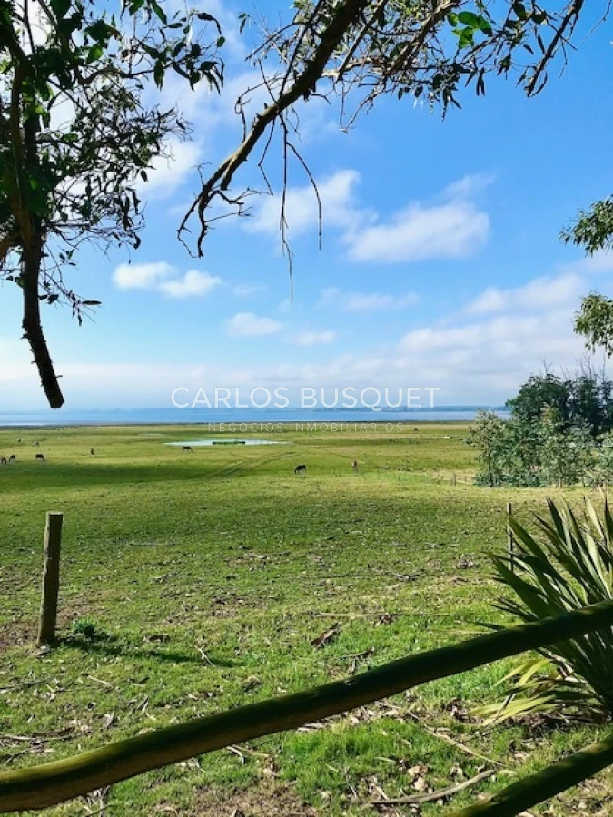 Chacra ID.16 - Chacra de 5 has. en venta en Jose Ignacio, con costa de laguna 