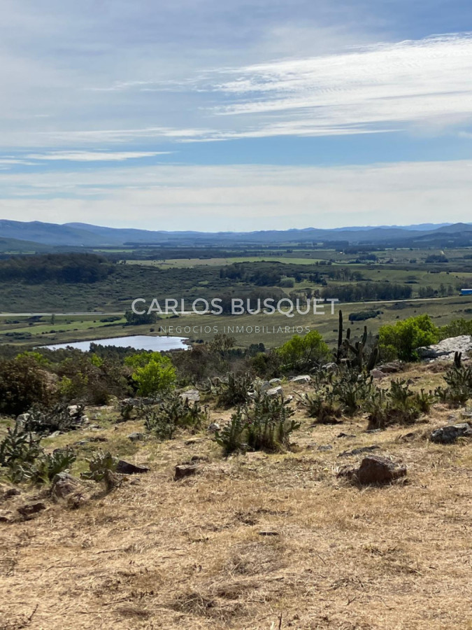 Chacra ID.1667 - Chacras del Cerro - chacras en venta de 5 has. en Pan de Azucar