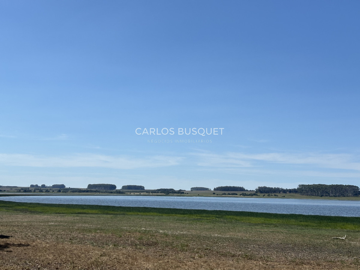 Chacra ID.1522 - Campo de 42 has. con costa de Laguna Garzón 
