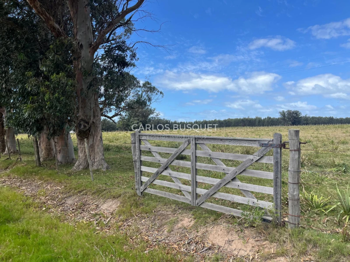 Chacra ID.1548 - Chacra de 5 has. en venta en Camino Medellin