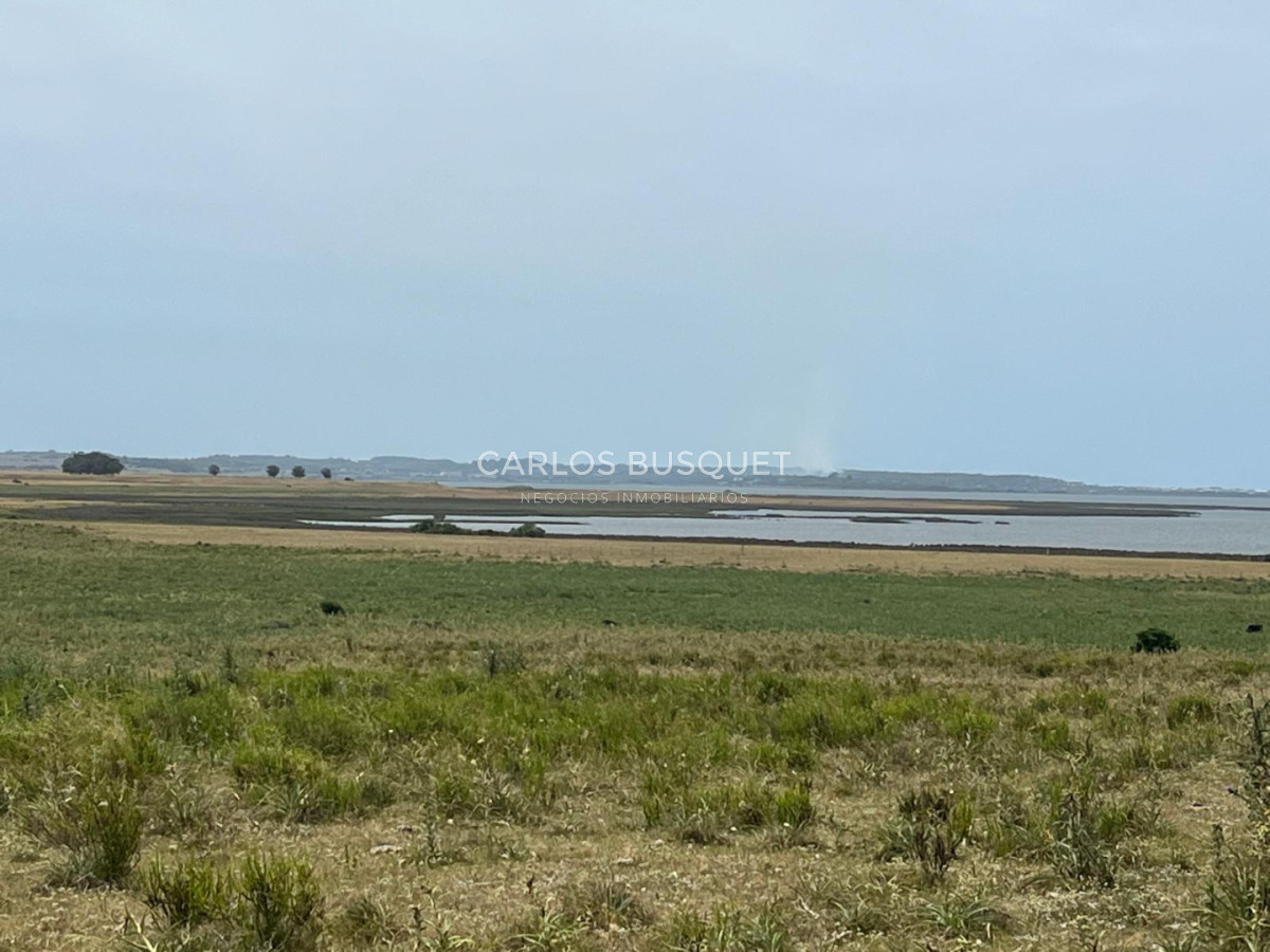 Chacra ID.1552 - Venta campo de 26 hectáreas, en José Ignacio con vista a la Laguna