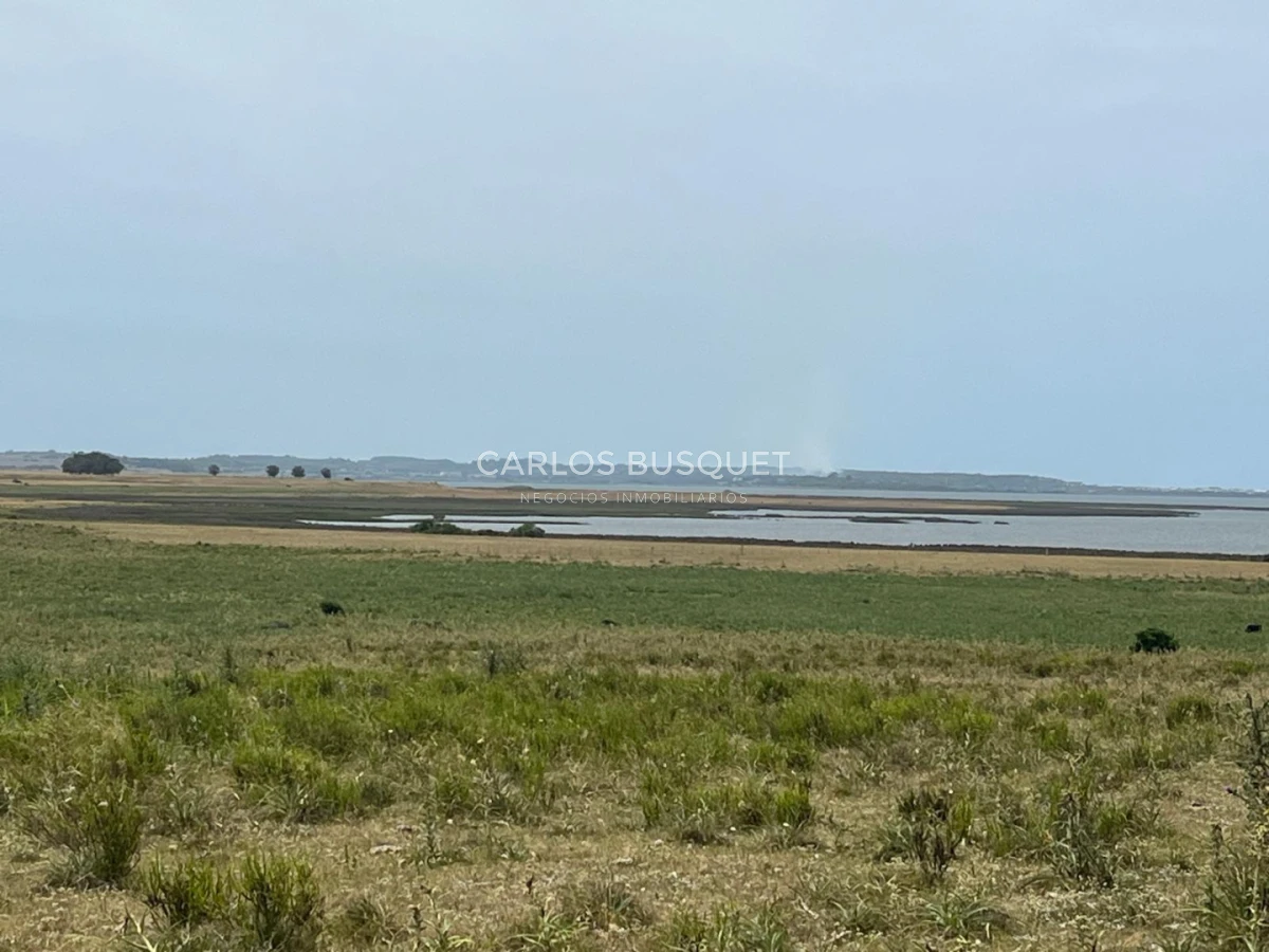Chacra ID.1552 - Venta chacra de 30 hectáreas, en José Ignacio con costa de Laguna