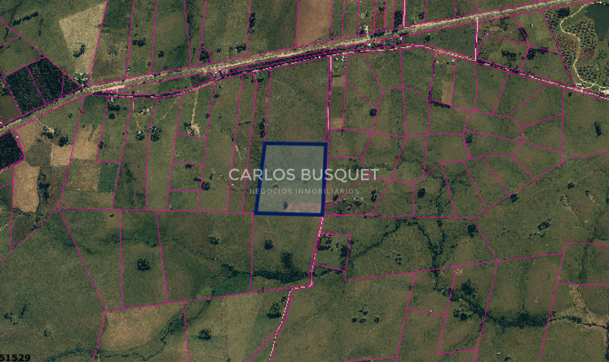 Chacra ID.1520 - Chacra de 21 has zona de Polo