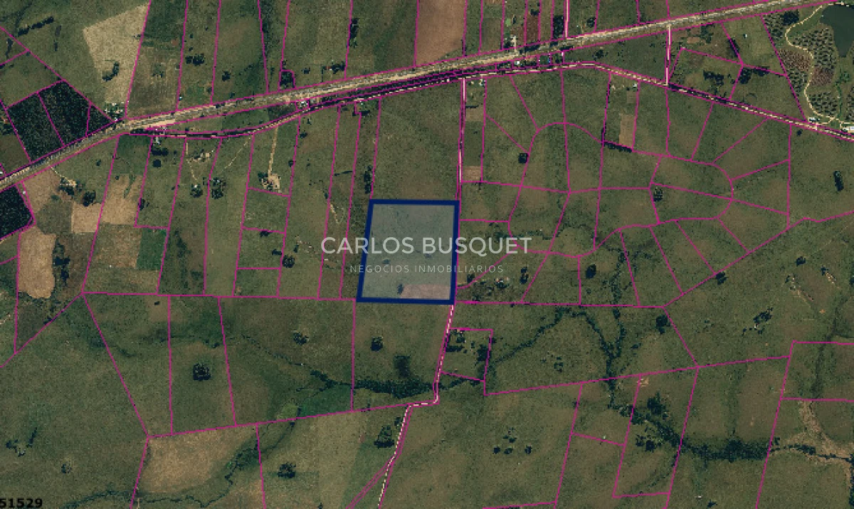 Chacra ID.1520 - Chacra de 21 has zona de Polo