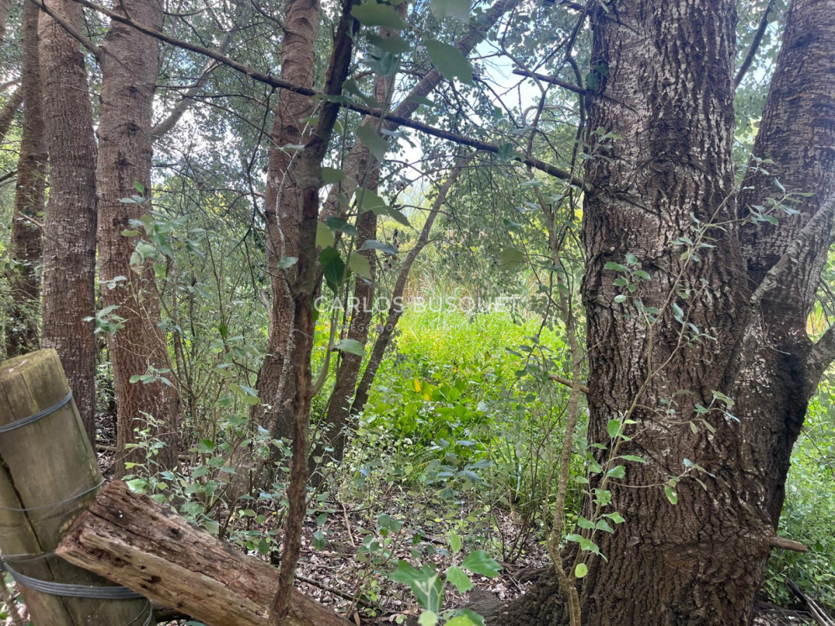 Chacra ID.1496 - Chacra de 5 has. en venta - zona Camino Medellin 