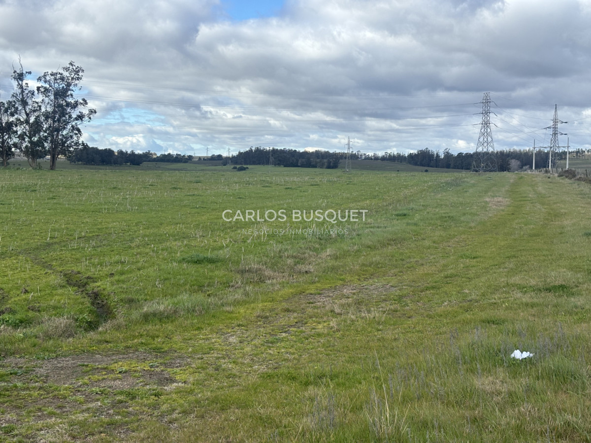 Chacra ID.1730 - Chacra de 35 has. en venta en Ruta 104