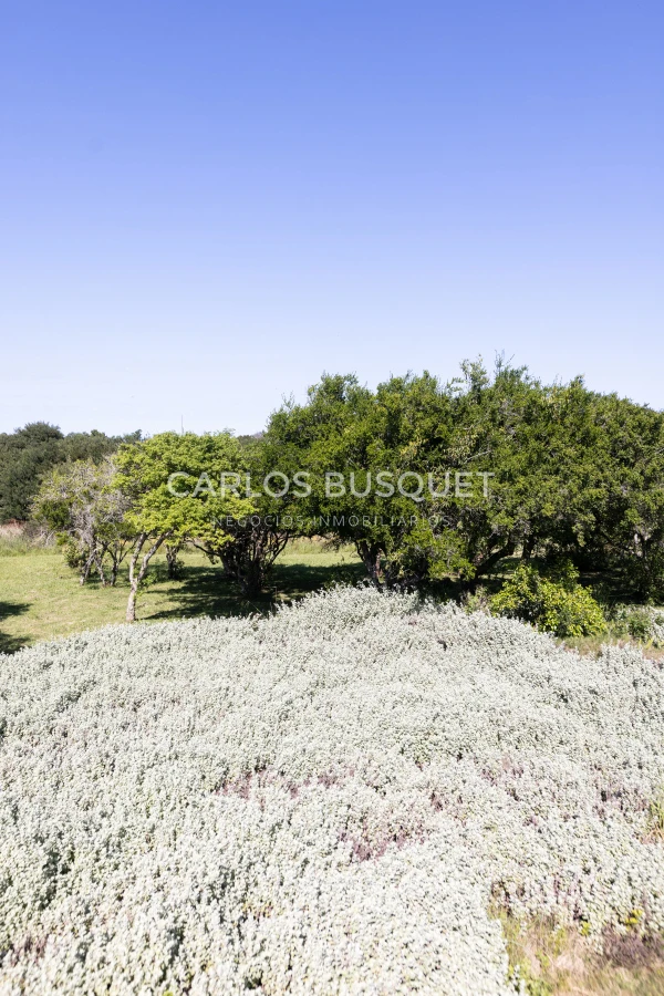 Chacra ID.20 - Casa en venta de 3 dormitorios en Jose Ignacio 