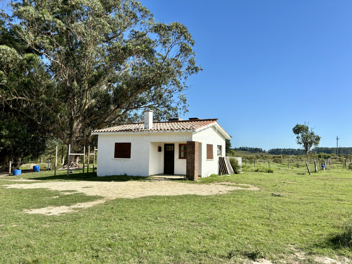 Chacra ID.1096 - Chacra en venta de 5 has. con casita, en Camino Medellin
