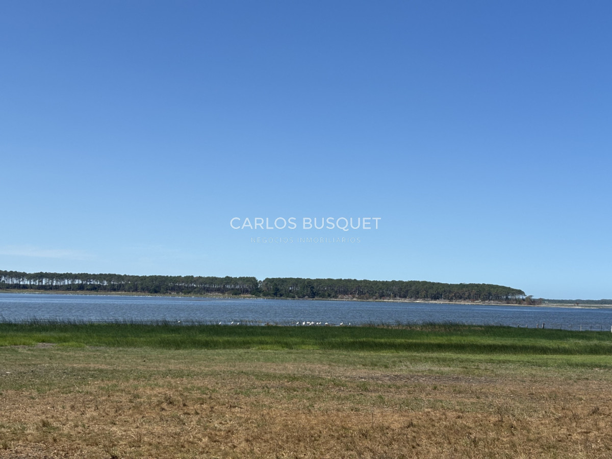 Chacra ID.1522 - Campo de 42 has. con costa de Laguna Garzón 