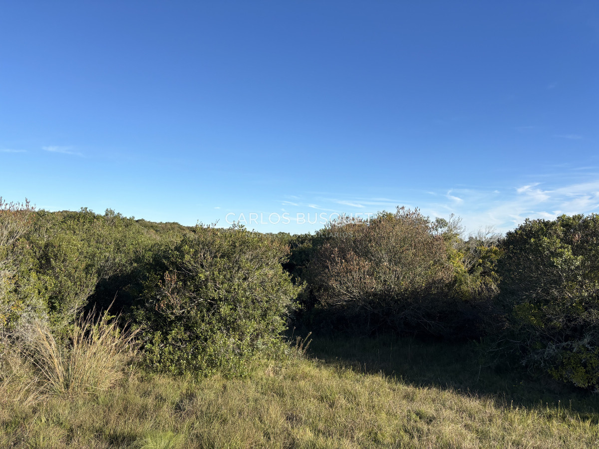 Chacra ID.1128 - Chacra de 5 has. en Jose Ignacio, Las Coronillas 