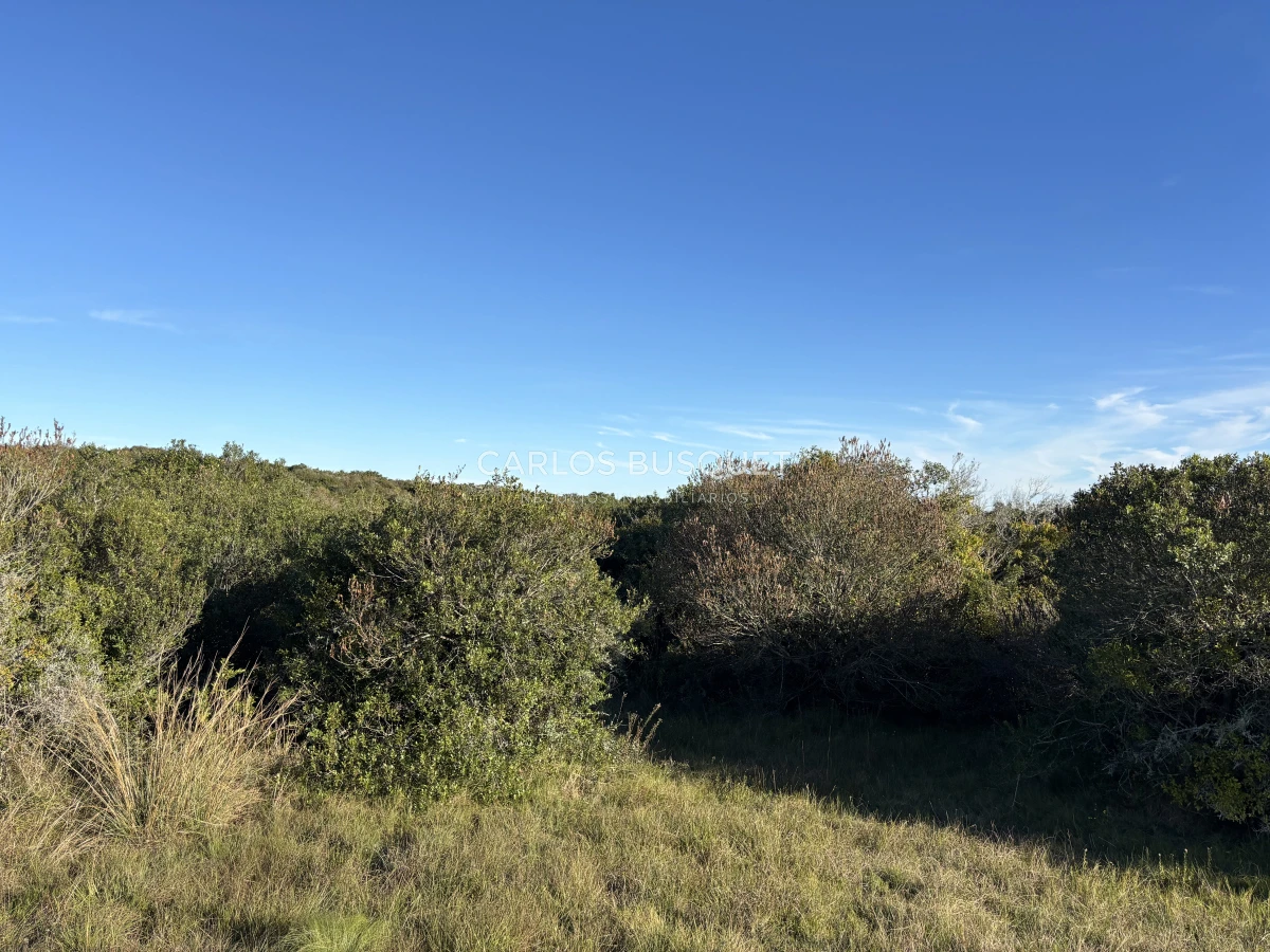 Chacra ID.1128 - Chacra de 5 has. en Jose Ignacio, Las Coronillas 