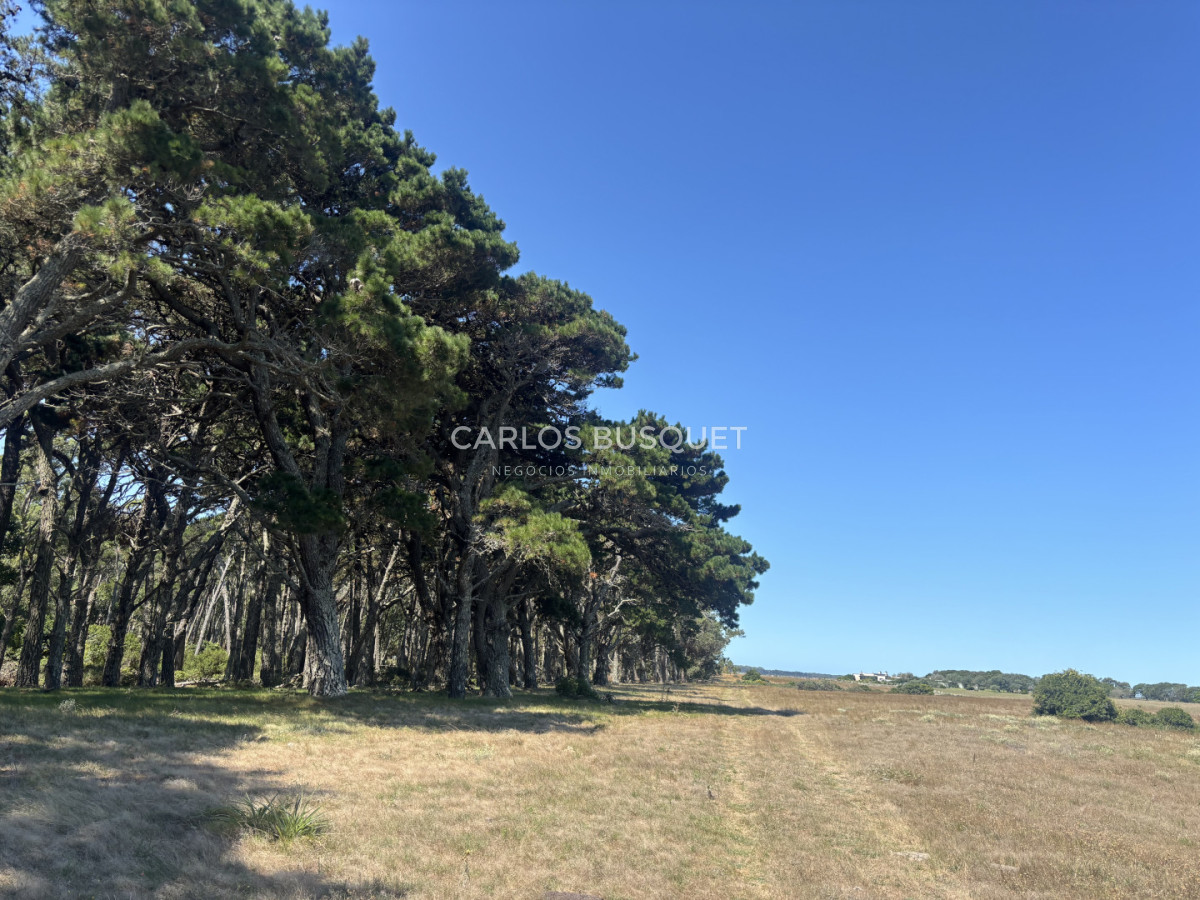 Chacra ID.1522 - Campo de 42 has. con costa de Laguna Garzón 
