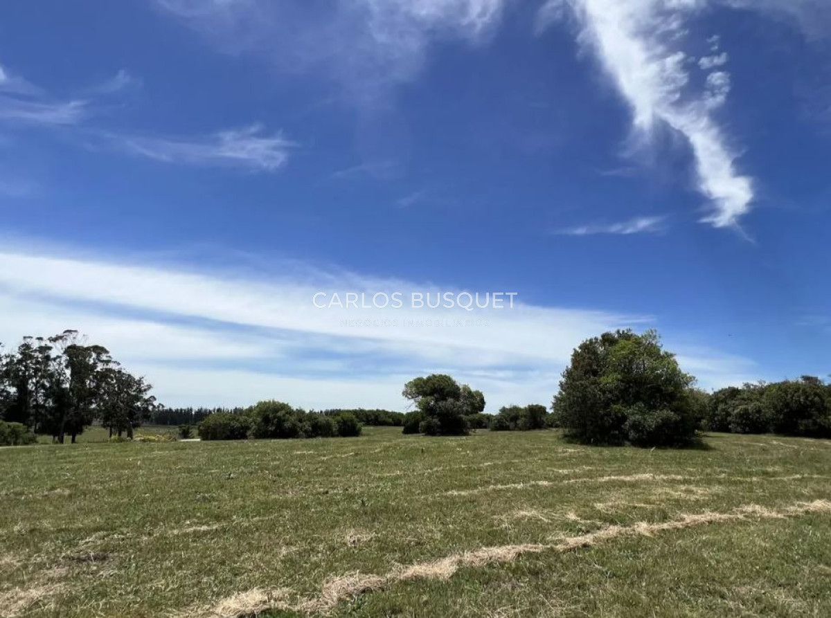 Chacra ID.1403 - Chacra en venta de 5 has. en Jose Ignacio Las Coronillas