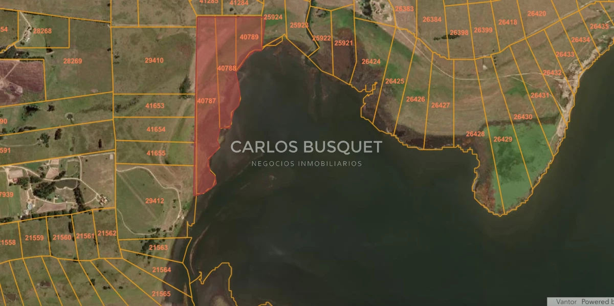 Chacra ID.1552 - Venta chacra de 30 hectáreas, en José Ignacio con costa de Laguna