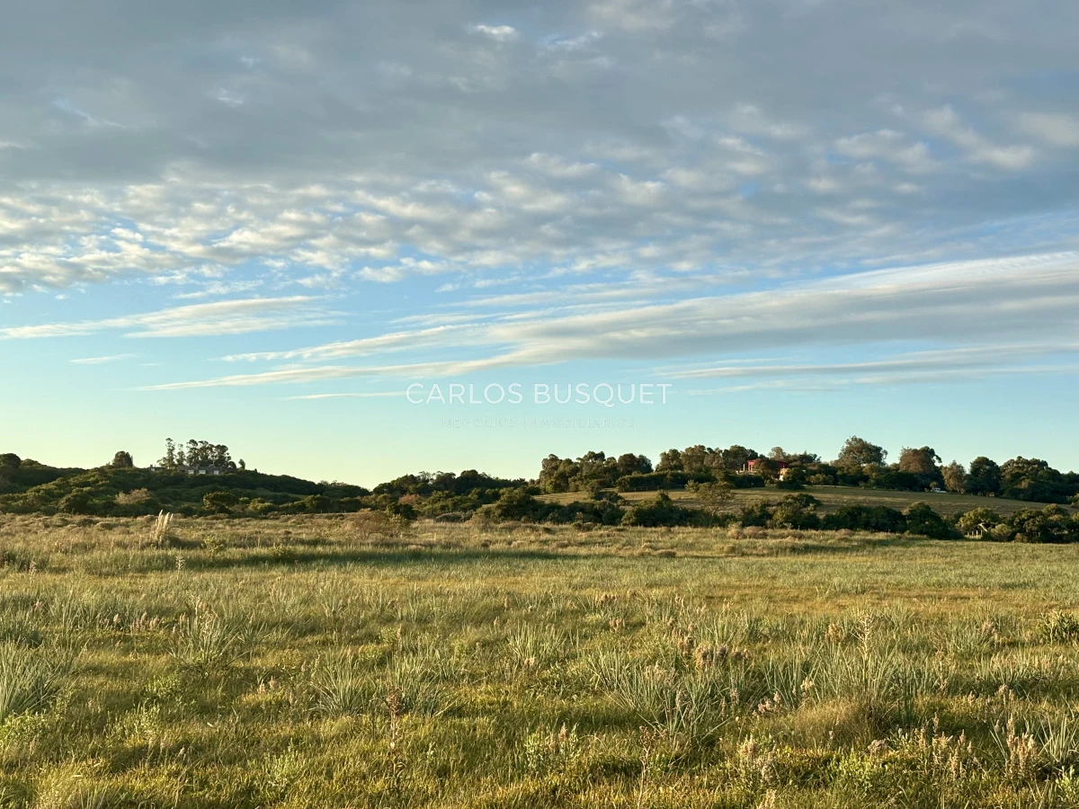 Chacra ID.1047 - Chacra de 7 has. en Venta en José Ignacio 