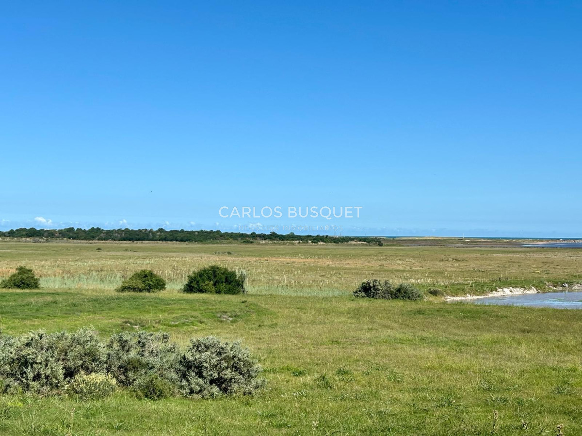 Chacra ID.531 - Chacra en venta de 5 has con costa de Laguna - Jose Ignacio 