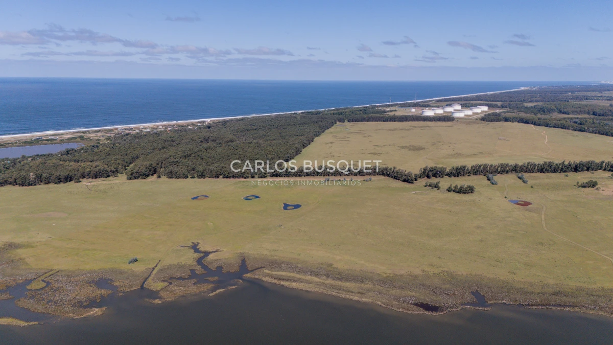 Chacra ID.16 - Chacra de 5 has. en venta en Jose Ignacio, con costa de laguna 