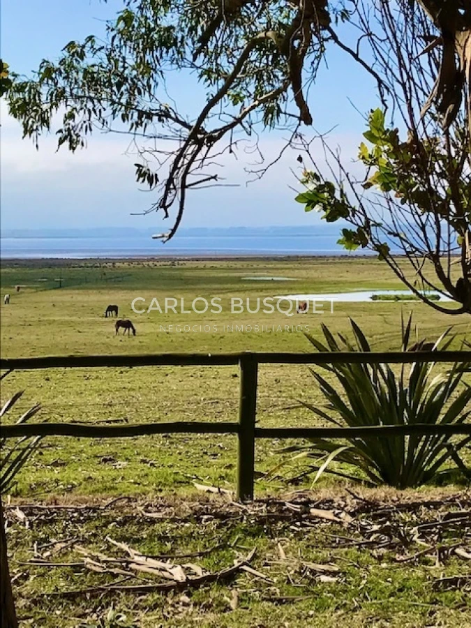 Chacra ID.16 - Chacra de 5 has. en venta en Jose Ignacio, con costa de laguna 