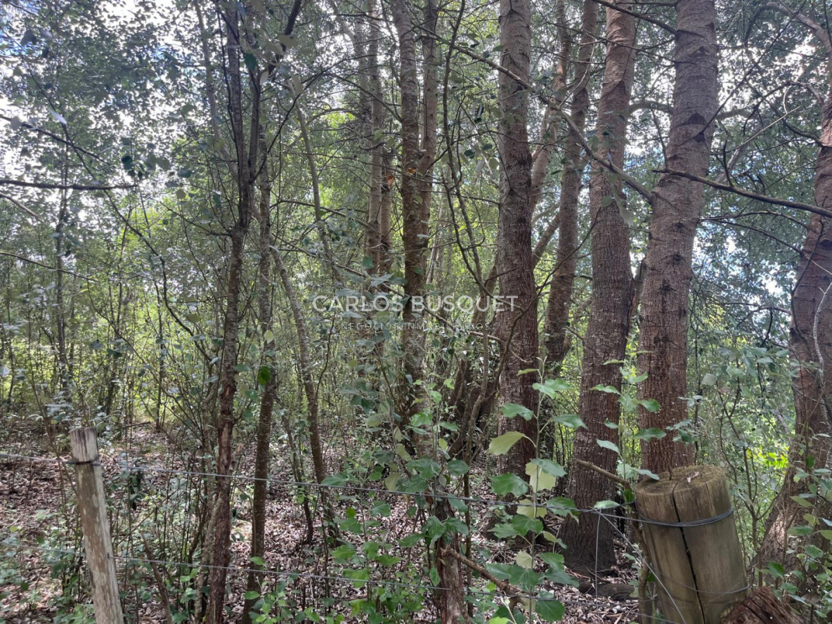 Chacra ID.1496 - Chacra de 5 has. en venta - zona Camino Medellin 