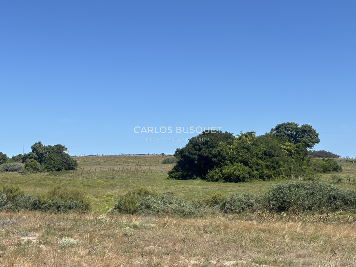 Chacra ID.1522 - Campo de 42 has. con costa de Laguna Garzón 