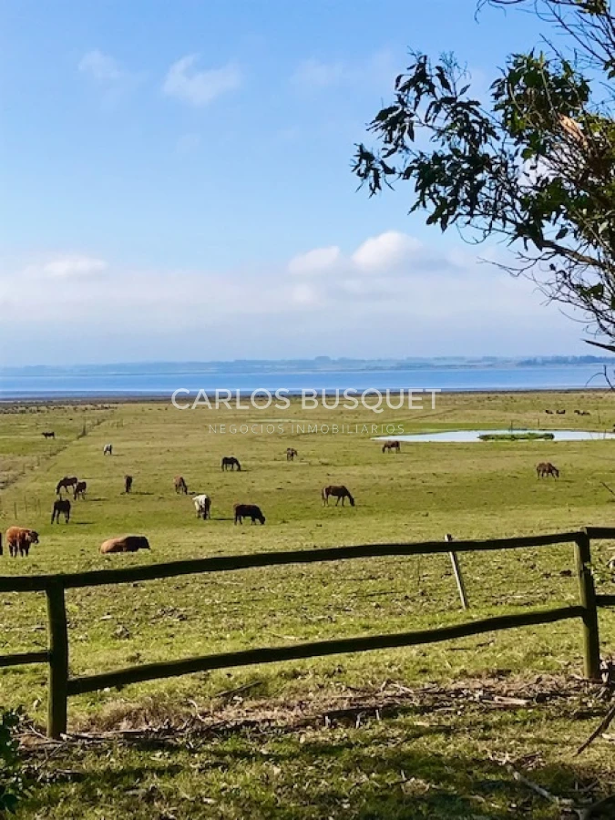 Chacra ID.16 - Chacra de 5 has. en venta en Jose Ignacio, con costa de laguna 