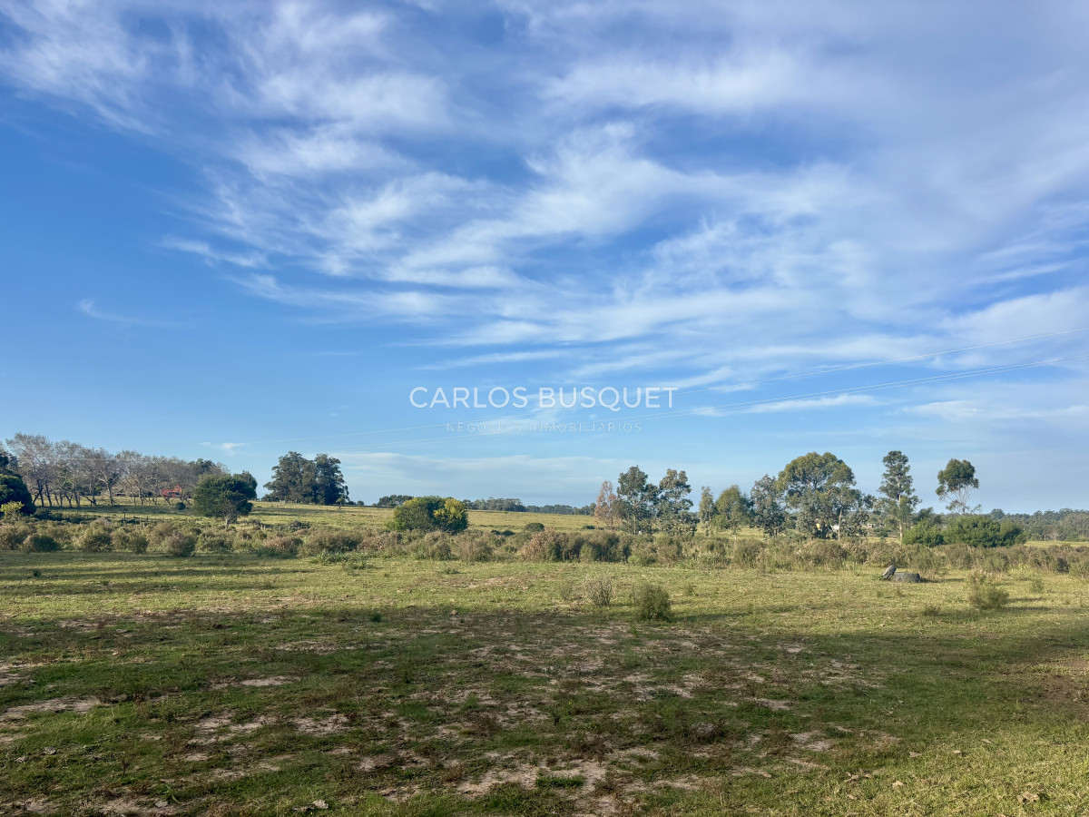Chacra ID.1044 - Chacra en venta de 8 has. sobre Ruta 104