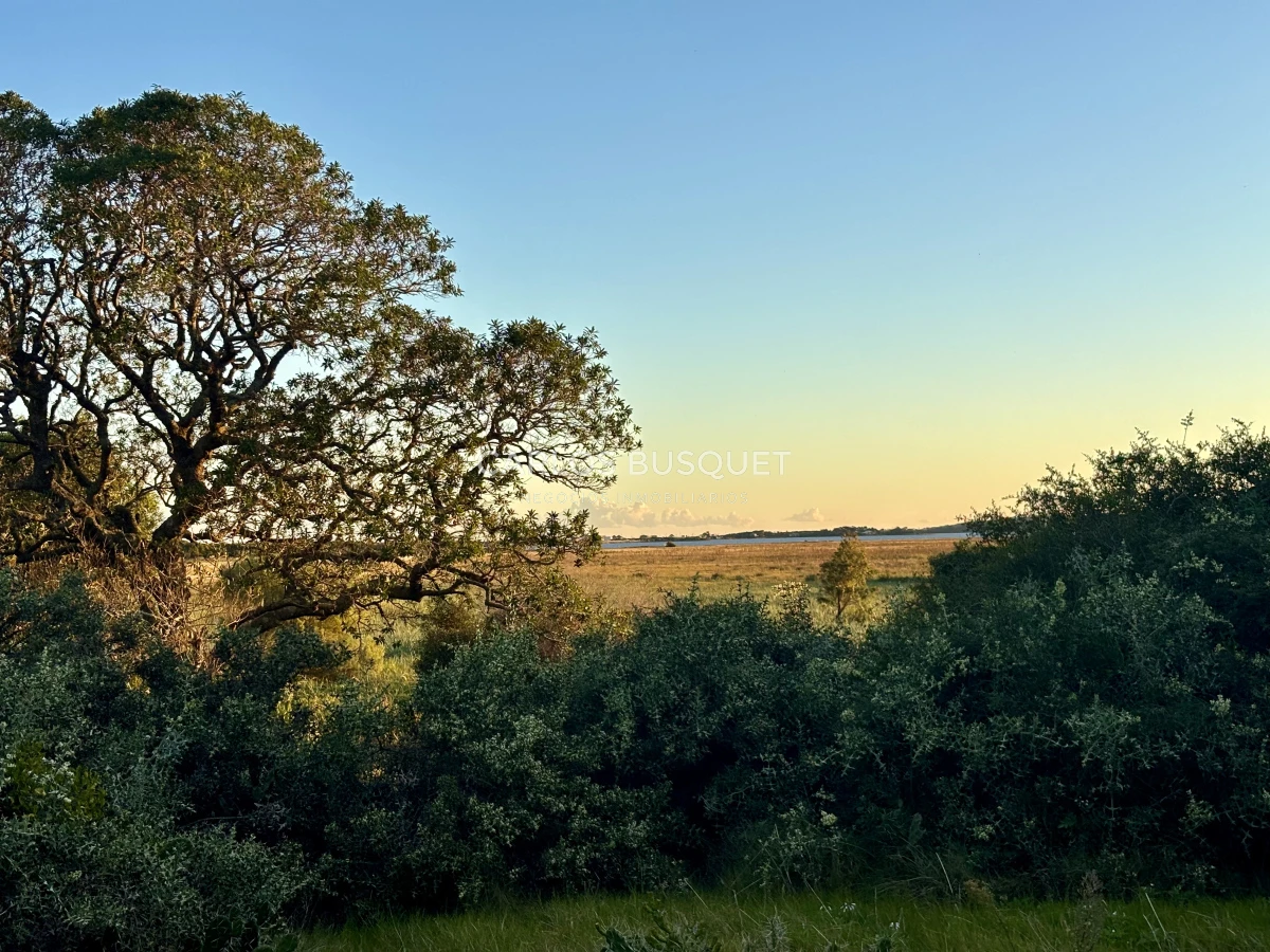 Chacra ID.1047 - Chacra de 7 has. en Venta en José Ignacio 