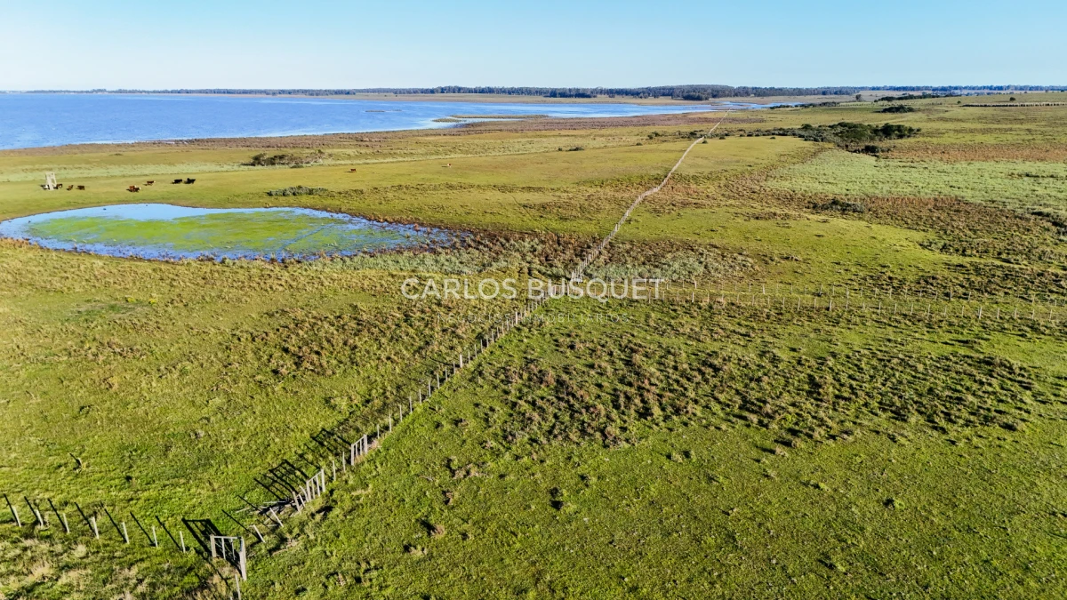 Chacra ID.1654 - Venta Chacra de 30 has. con Costa de Laguna de Jose Ignacio 