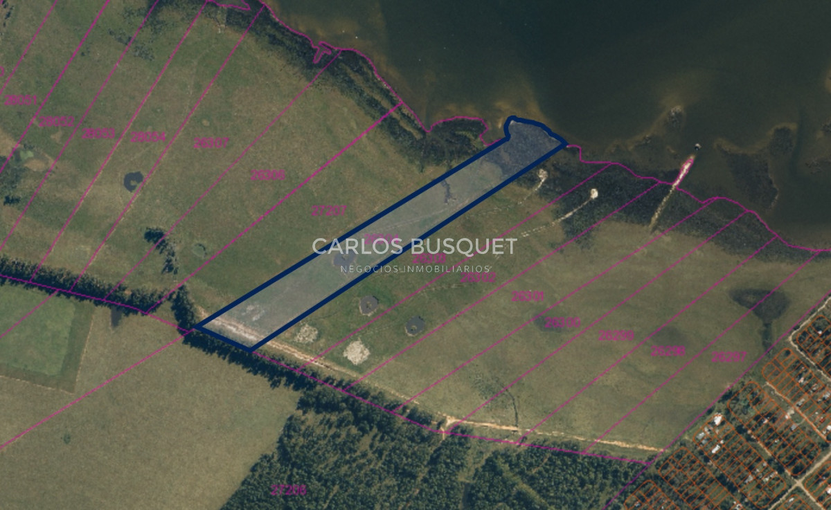 Chacra ID.16 - Chacra de 5 has. en venta en Jose Ignacio, con costa de laguna 