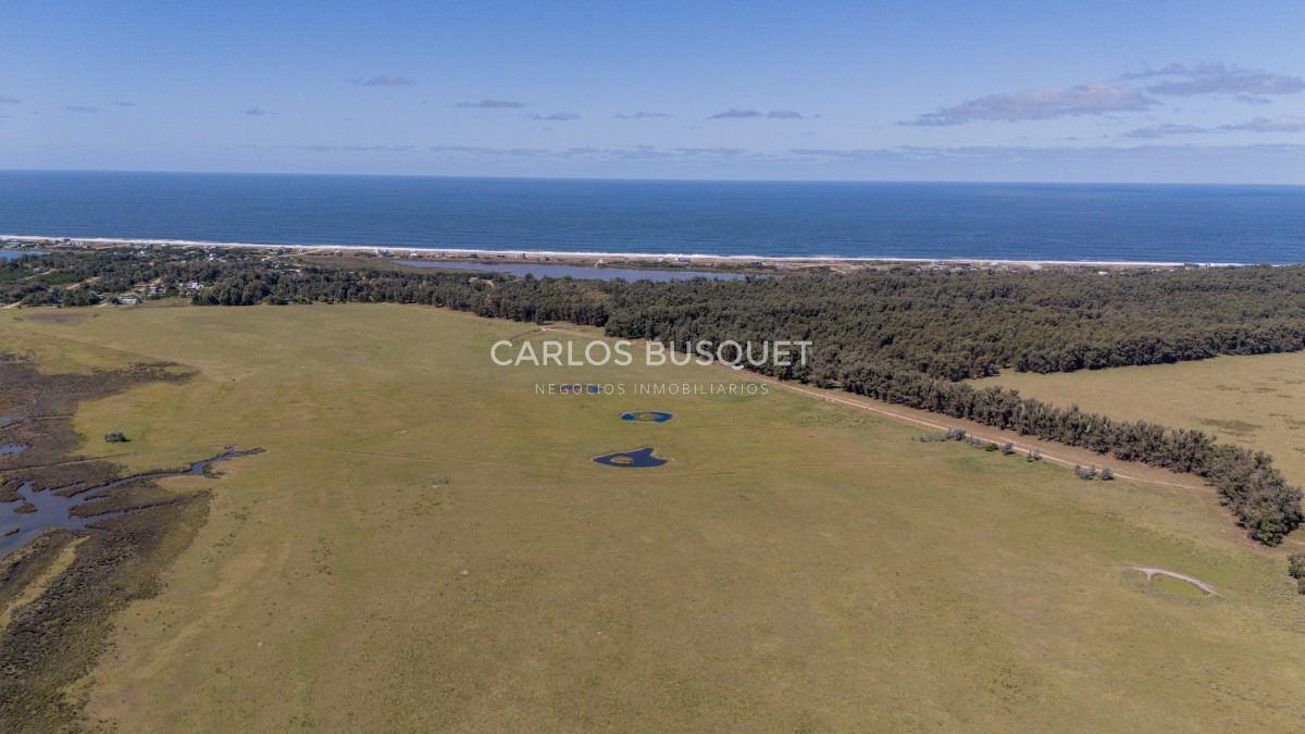 Chacra ID.16 - Chacra de 5 has. en venta en Jose Ignacio, con costa de laguna 