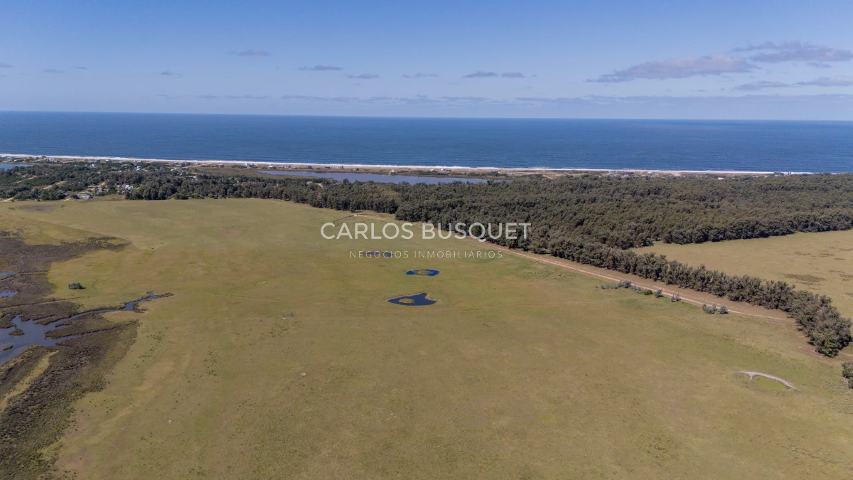 Chacra ID.16 - Chacra de 5 has. en venta en Jose Ignacio, con costa de laguna 